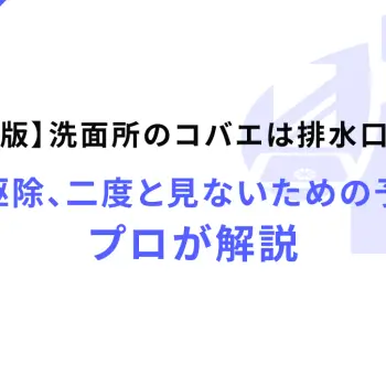 【完全版】洗面所のコバエは排水口から！原因と駆除、二度と見ないための予防策をプロが解説